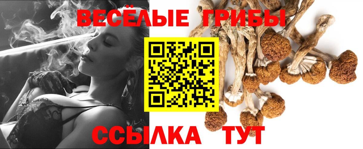 даркнет сайт  Псилоцибиновые грибы MAGIC MUSHROOMS  Вход с VPN  Кумертау 