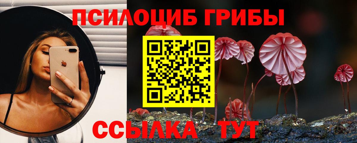 Псилоцибиновые грибы Magic Shrooms Кумертау